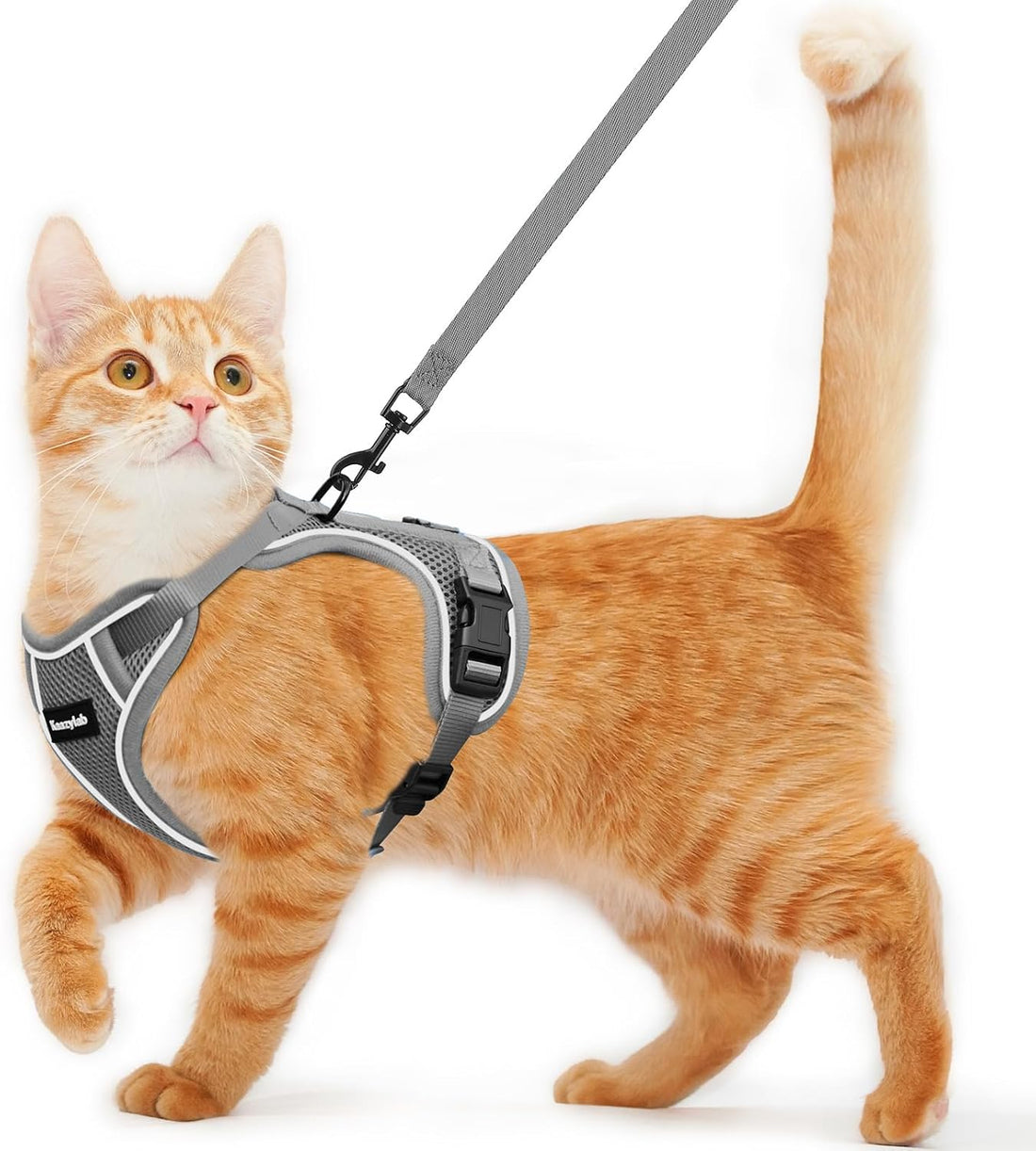 Cat Harness and Leash for Walking Escape Proof Soft Adjustable Cat