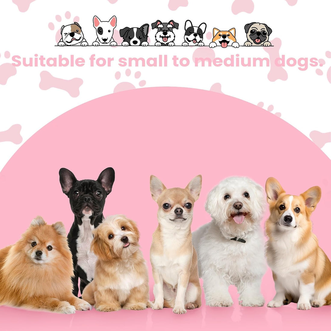 Kagoty Small Dog Goggles Small Breed