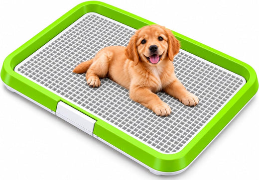 Dog Pee Pad Holder Tray with 5 Pee Pads