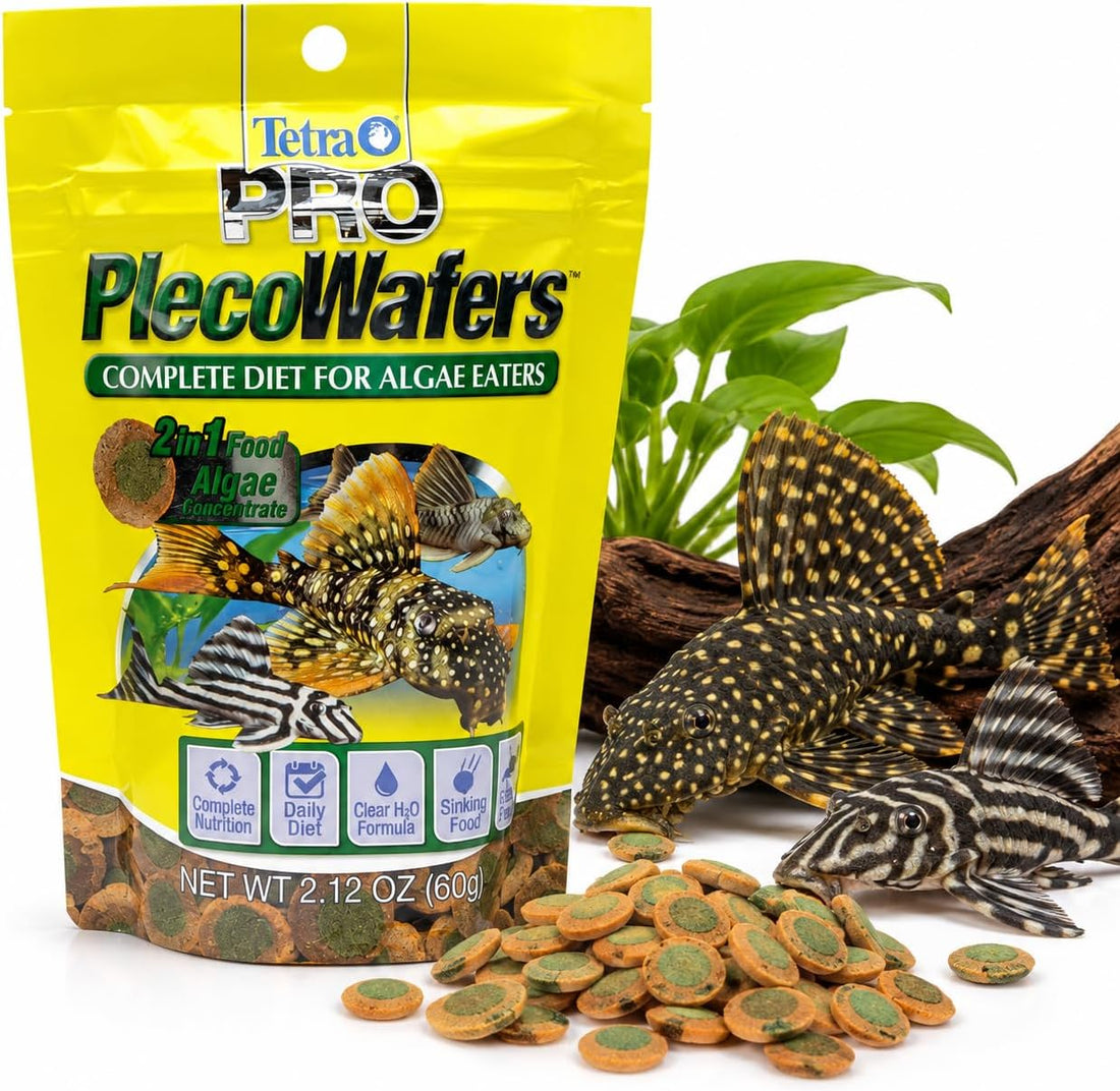 Tetra Pro PlecoWafers Fish Food for Algae-Eaters, 2.12 oz