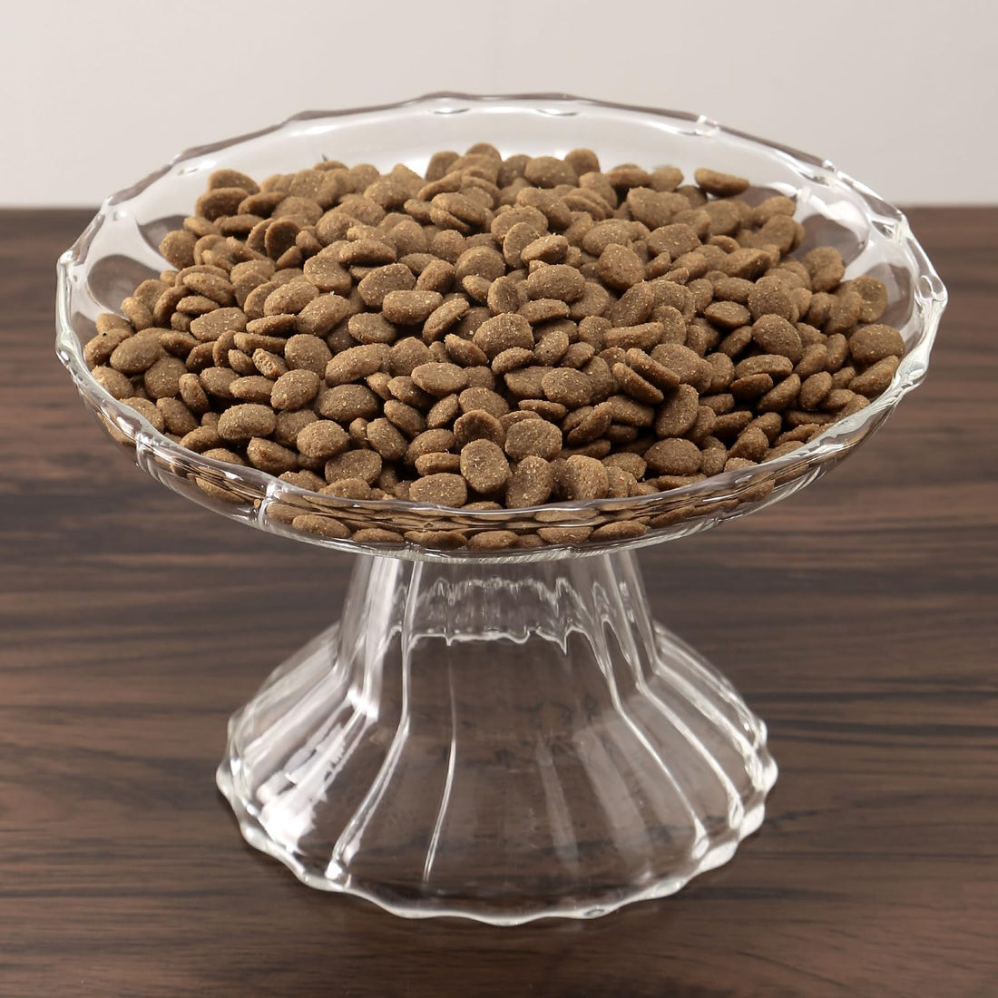 Elevated Cat Bowls Whisker Friendly. Raised Glass Whisker Fatigue Cat