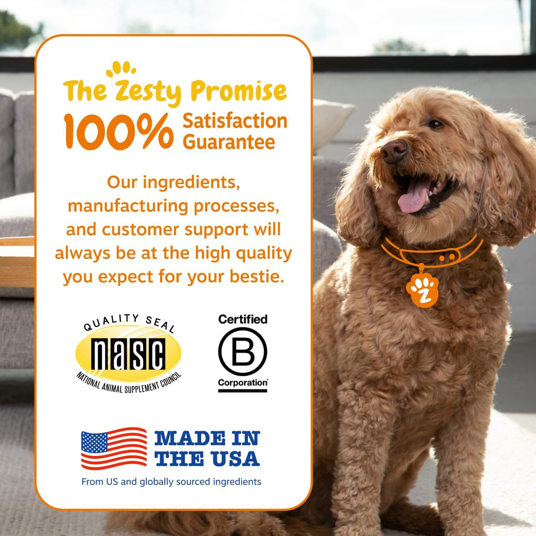 Zesty Paws Probiotics for Dogs - Digestive Enzymes for Gut Flora