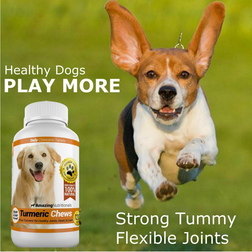 Amazing Turmeric for Dogs Curcumin Pet Antioxidant