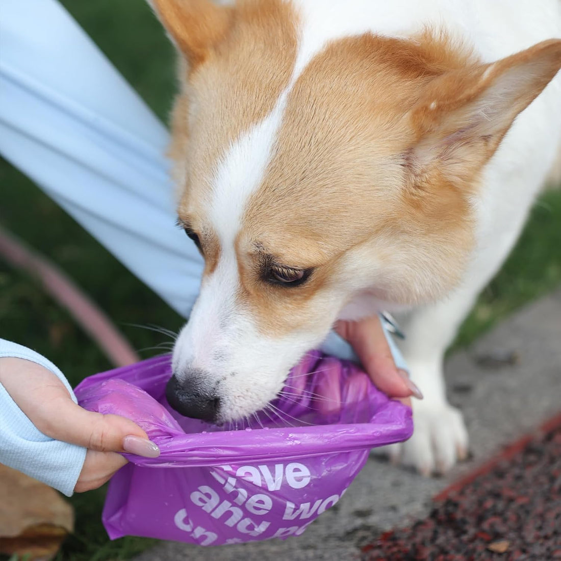 Dog Poop Bags with Handles & Holder, 108 Count, Lavender Scented