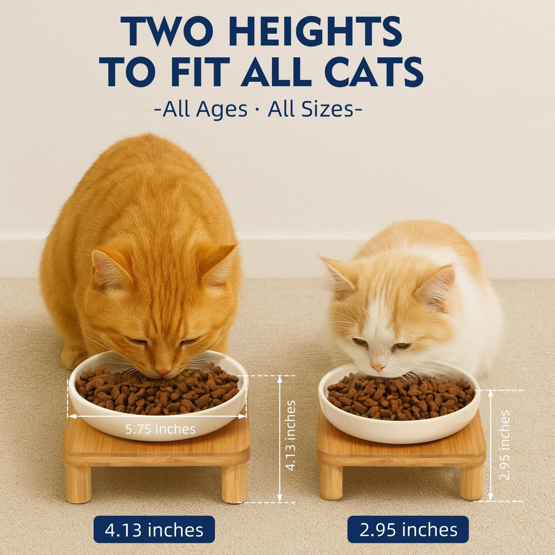 DoogCat Raised Cat Bowl, Elevated Cat Bowls with Bamboo Stand