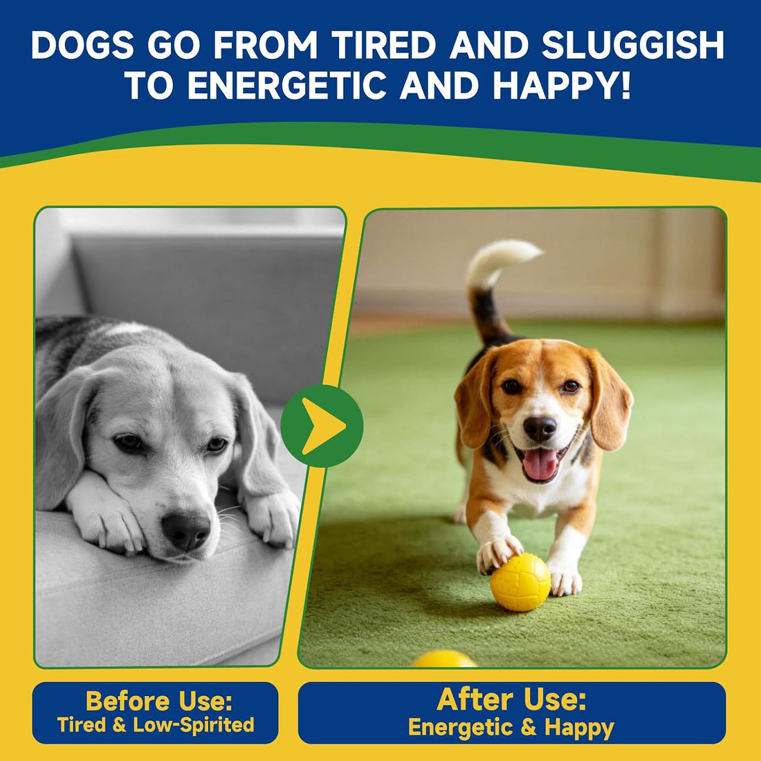 NAD+ Longevity Supplement for Senior Dogs, Vitality, Cognitive Health