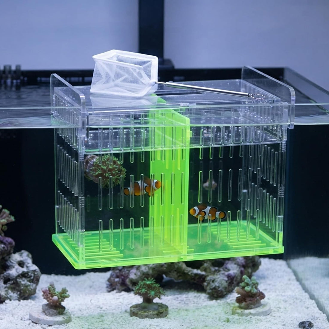 Fish Tank Divider & Breeder Box, Acrylic Aquarium Isolation Hatchery