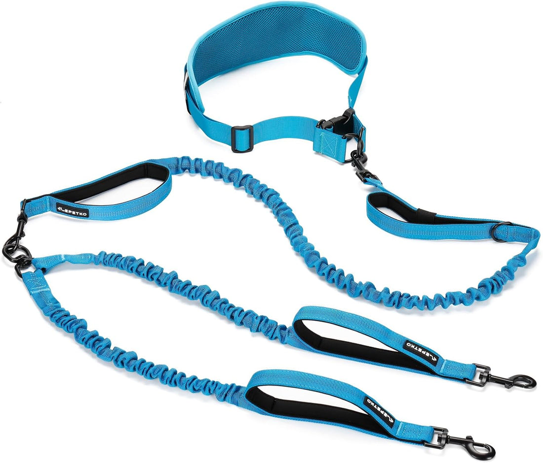 Hands Free Bungee Dog Leash for Medium to Large Dogs | Wider