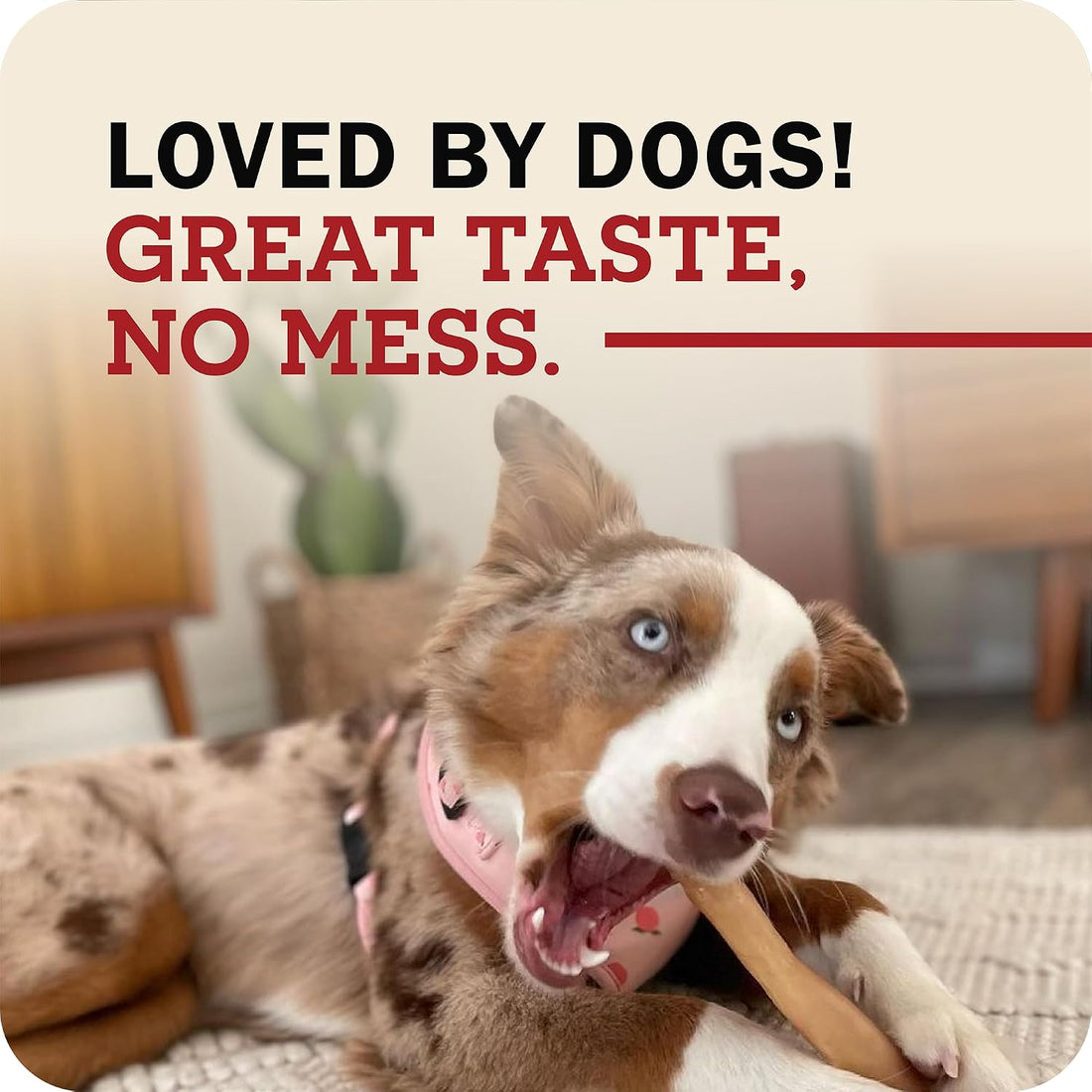 Redbarn Collagen Slims 100% Natural Beef Dog Chew, Single Ingredient