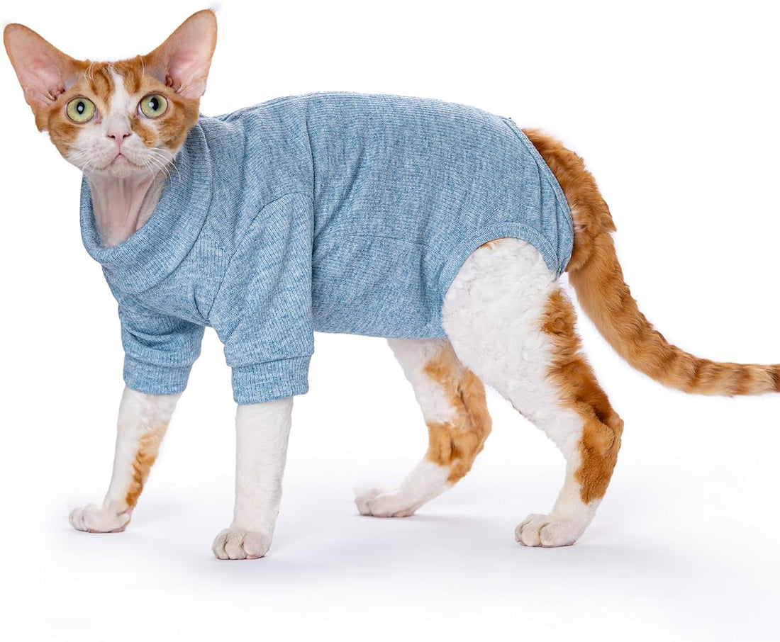 Cat Recovery Suit for Foreleg