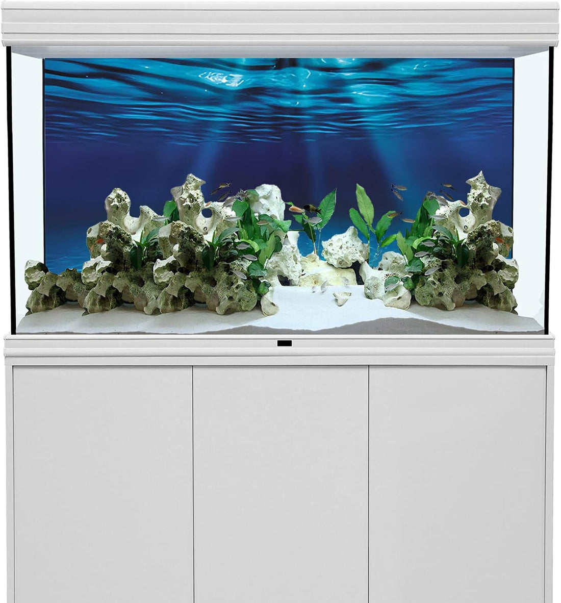 AWERT 48x24 in Undersea Aquarium Backdrop Underwater Fish Tank