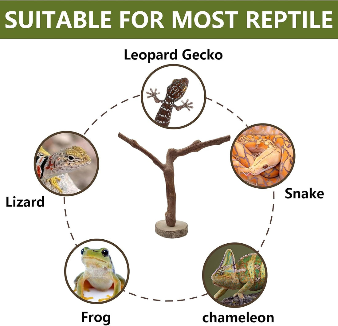 BNOSDM Reptile Grapevine Wood Lizard Natural Wood Climb Tree Branch