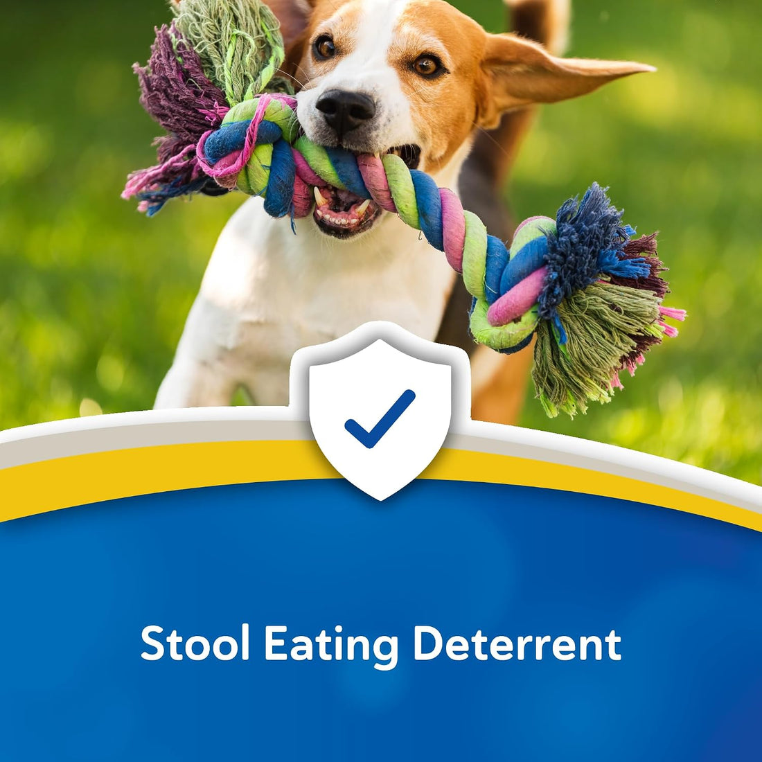 Doc Roy's FeCease Stool Eating Deterrent for Dogs, 300 gm