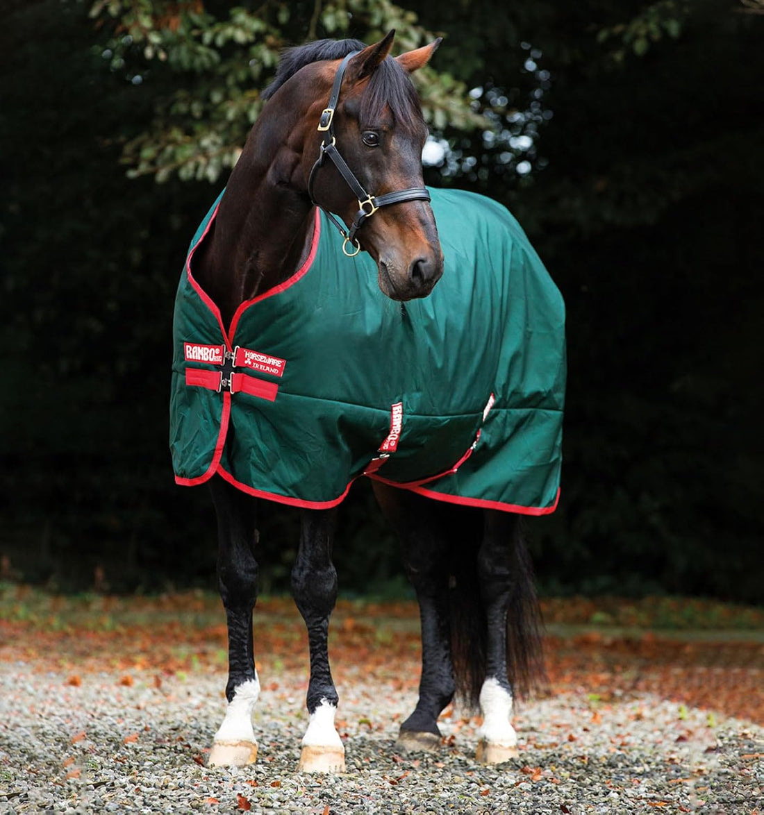 Horseware Ireland Mio Stable Sheet 75