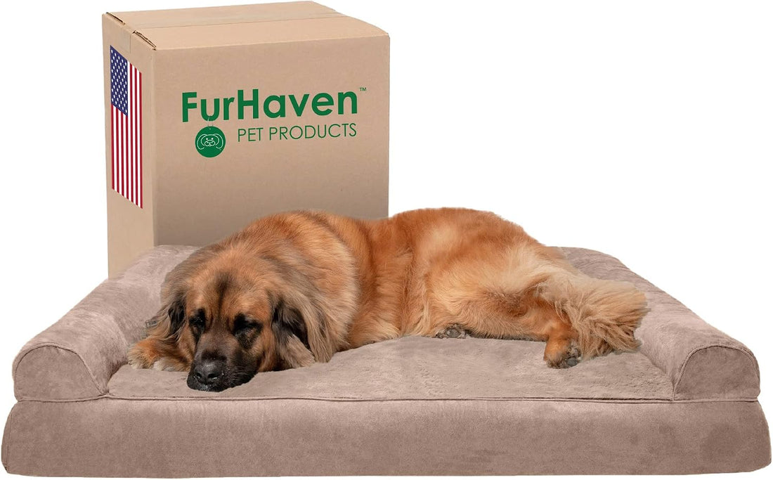Furhaven Orthopedic Dog Bed for Medium/Small Dogs w/ Removable