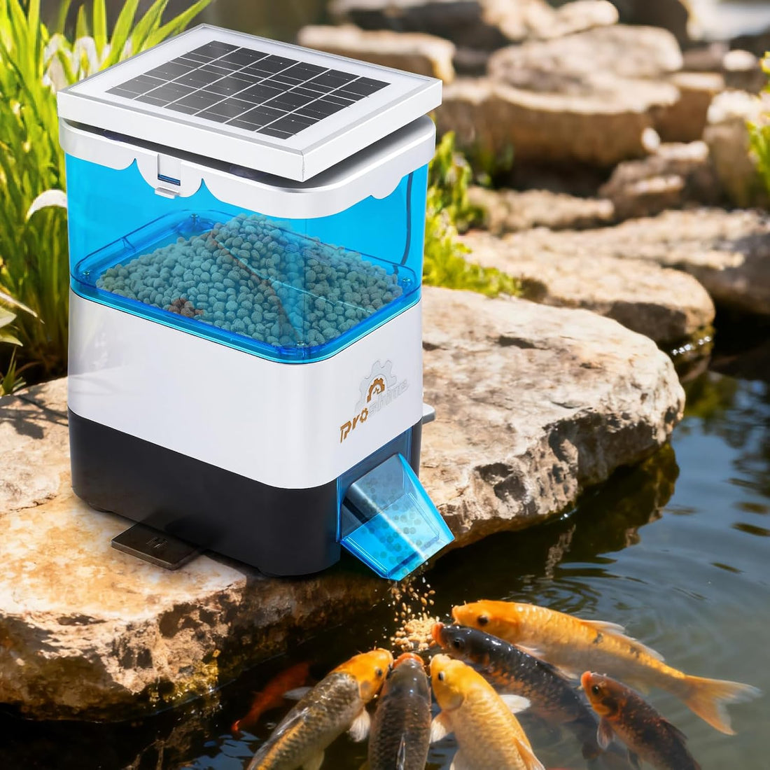 Automatic Fish Feeder for Pond Solar Powered 1.5L Capacity