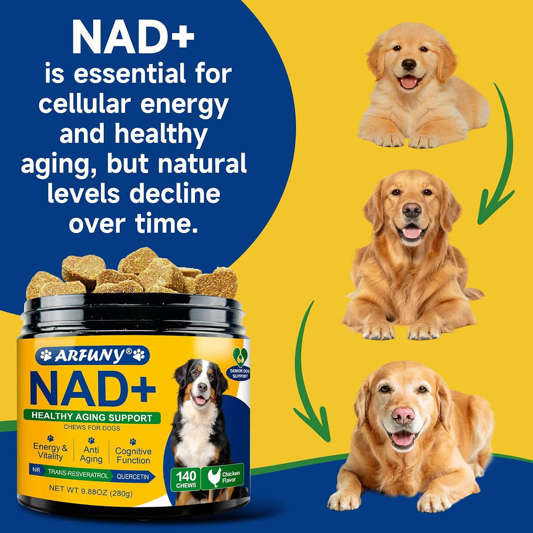 NAD+ Soft Chews for Dogs & L-Lysine for Cats