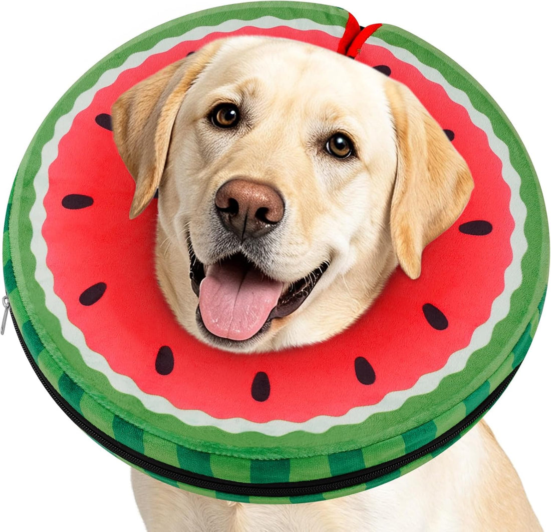 Donut Cone for Dogs, No-Inflation Sponge Donut Collar After Surgery