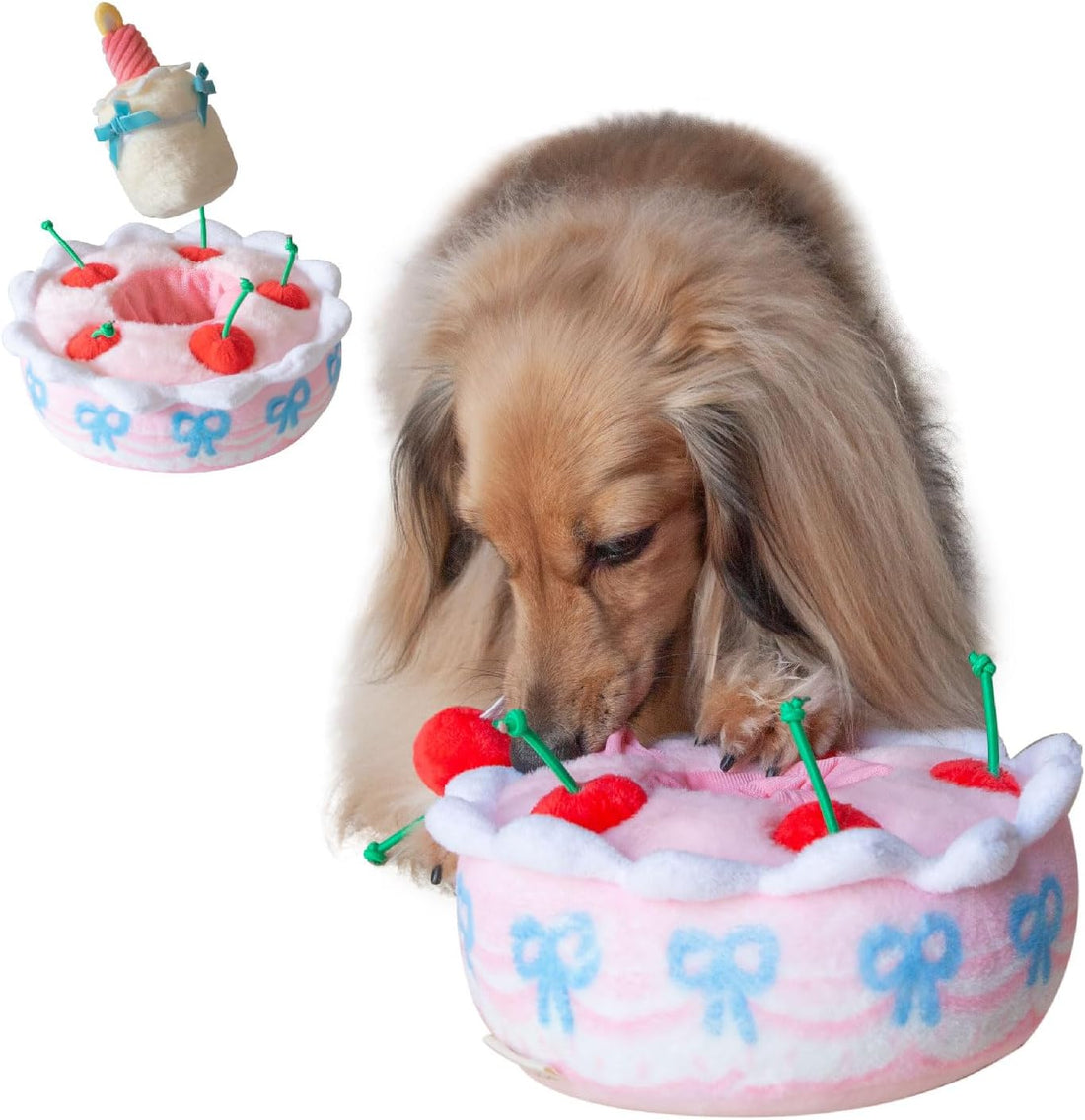 Birthday Cake Snuffle Toy Set