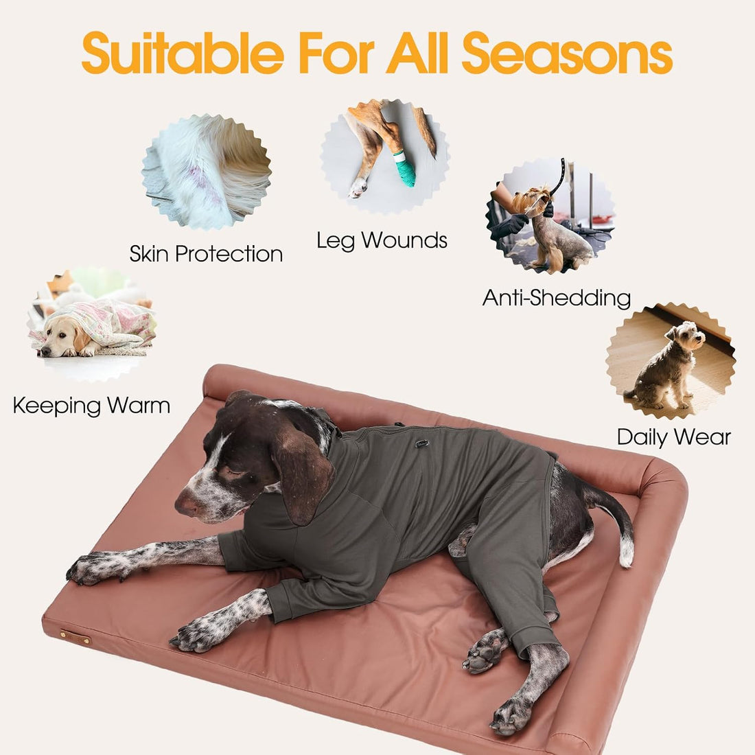 Recovery Suit for Large Dogs, Adjustable Dog Onesie