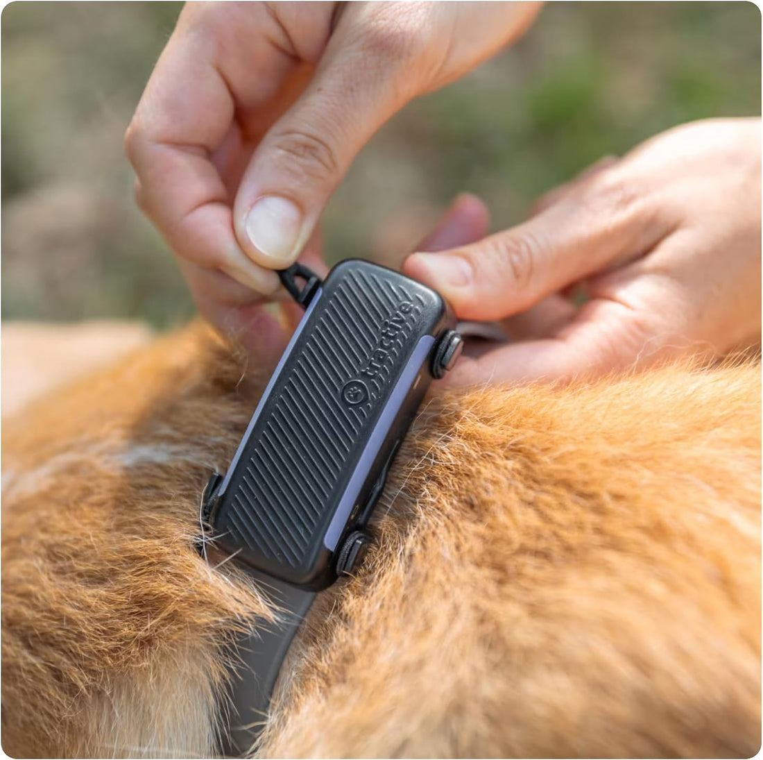 Tractive Fabric Clip Mount x2 for Tractive Dog 6 GPS Tracker - Large