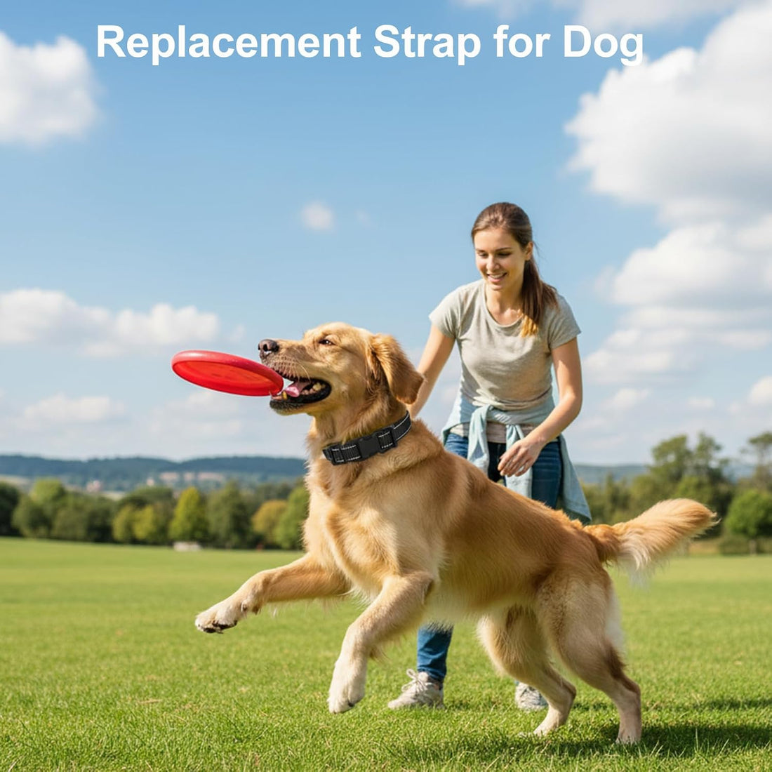 Replacement Collar Strap