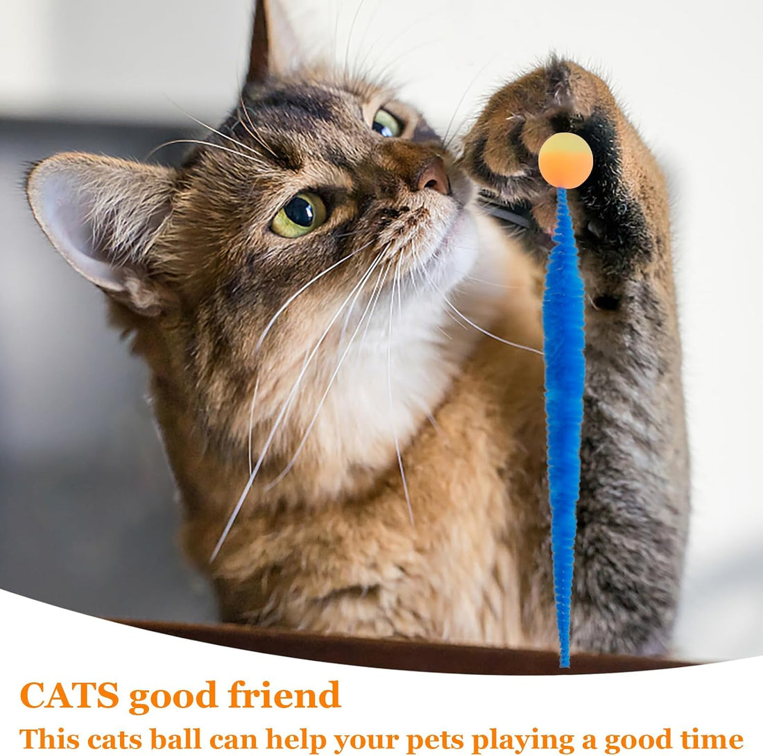 Bouncy Balls for Cats, Cat Worm Toy-5 Pack&2 Bells