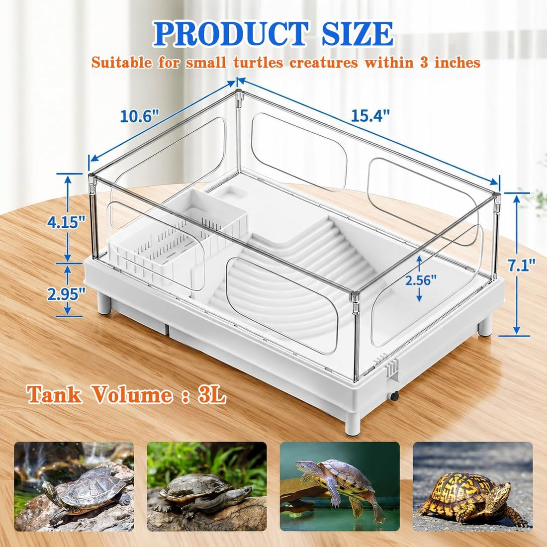 Small Turtle Tank for Baby Turtles with Basking Platform and Bottom