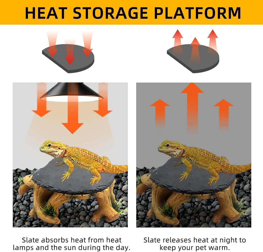 Bearded Dragon Basking Platform,Reptile Hide Cave with Basking Rock