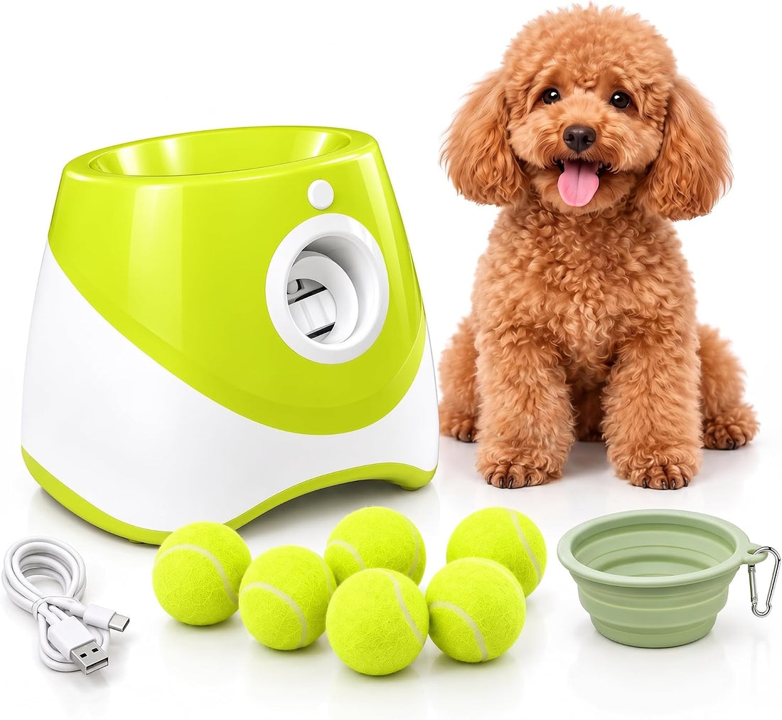 PT5 Automatic Dog Ball Launcher for Small Dogs