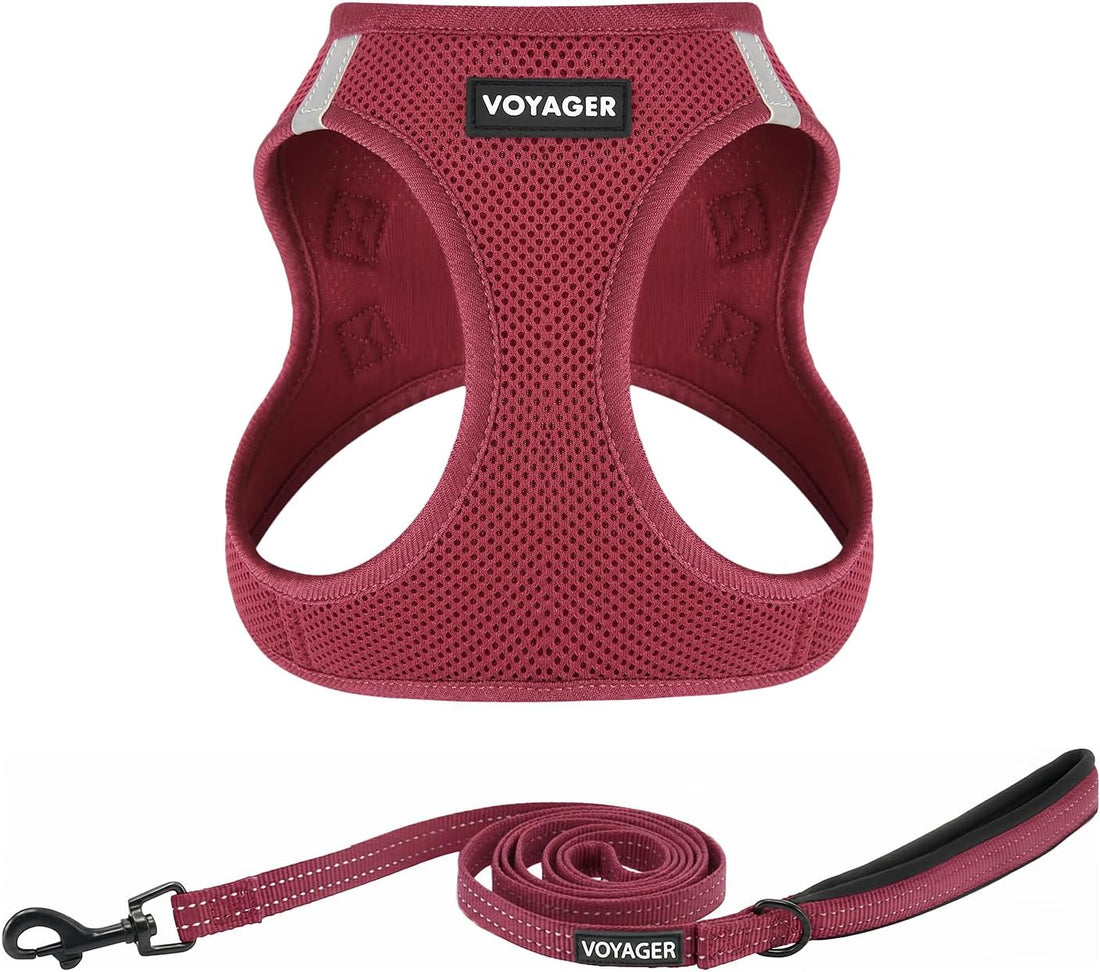 Voyager Step-in Air Cat Harness & Leash Set - Moss Green, XS