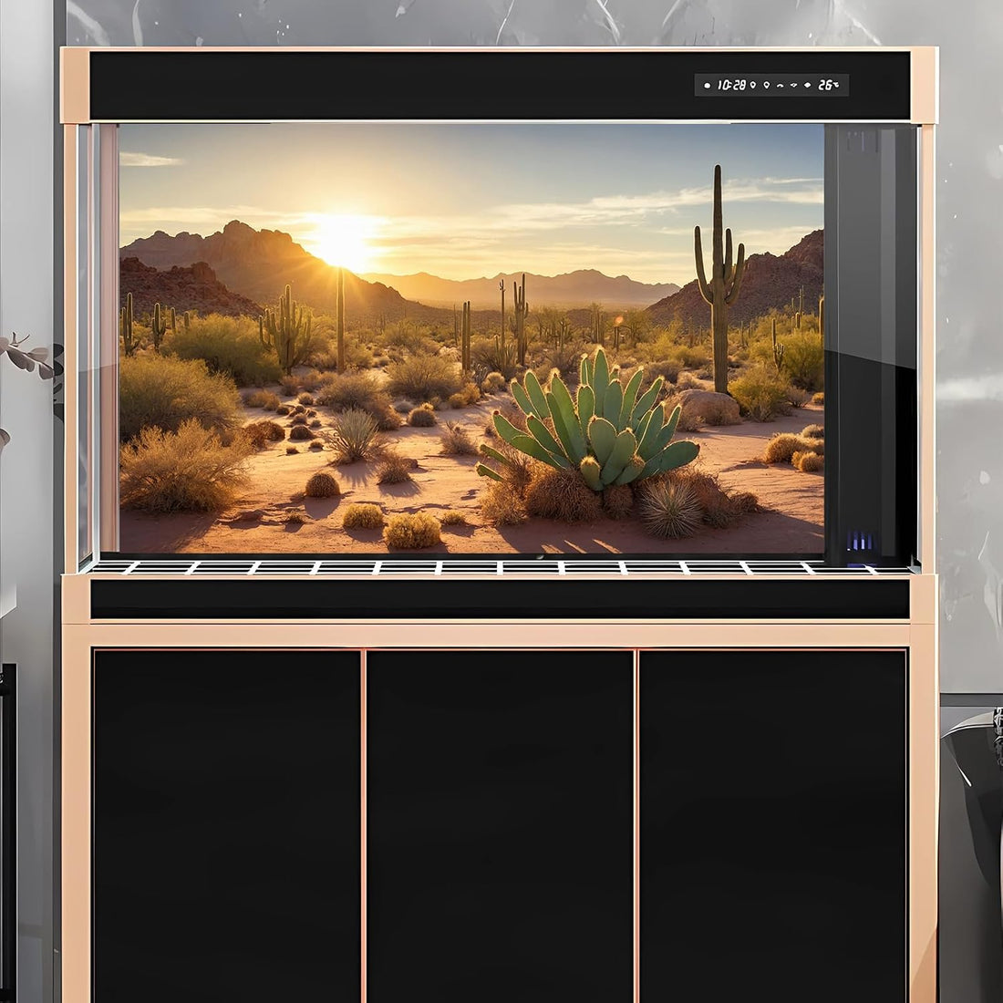 Desert Mountain Reptile Tank Background Sunset Rock Mountain Gobi