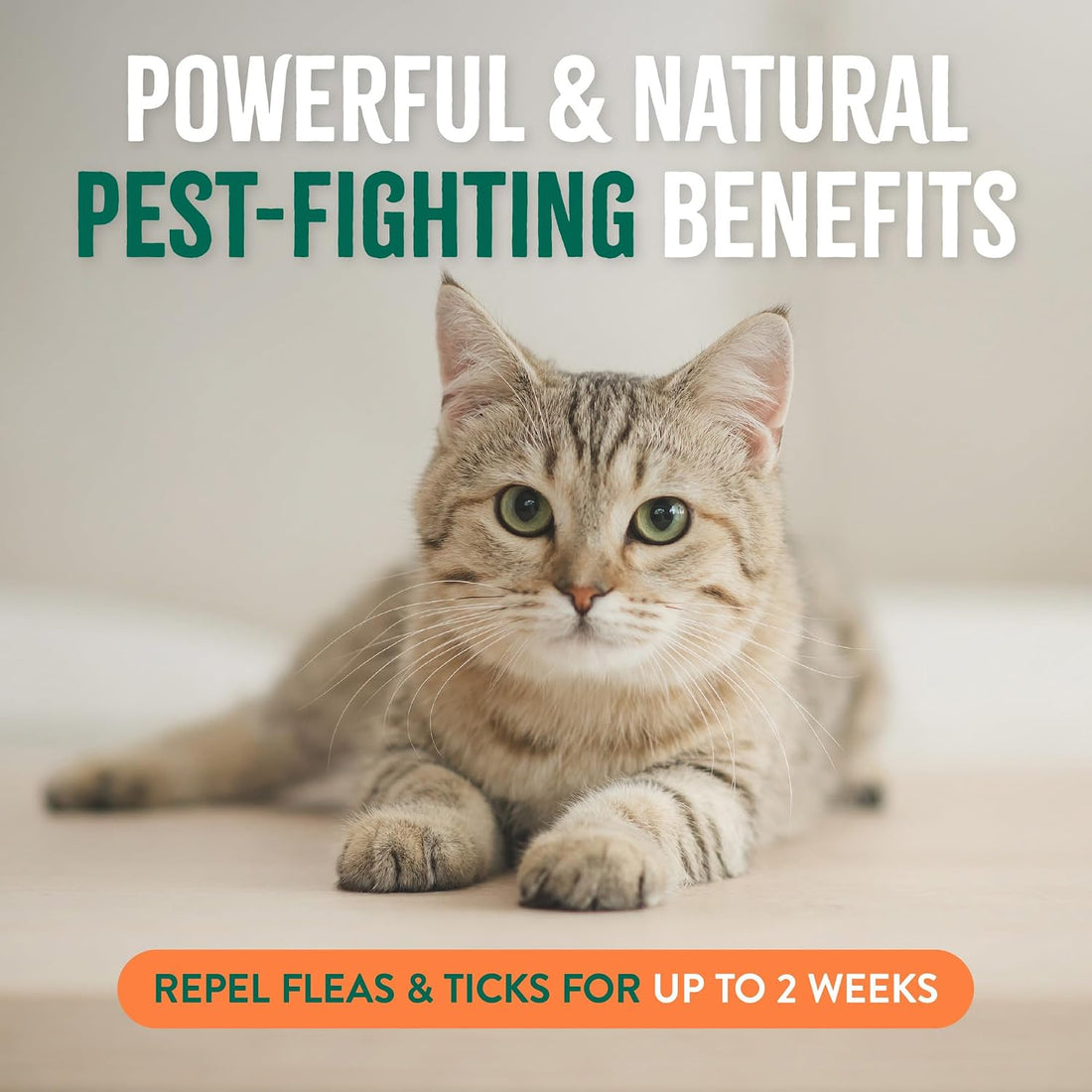 TropiClean Flea and Tick Treatment Spray for Cats & Home, Safely Treat