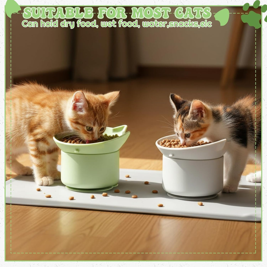 2 Pack Elevated Slow Feeder Cat Bowls Anti Vomit Tilted Raised Cat