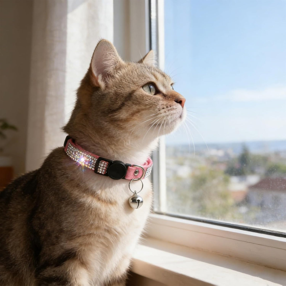 Rhinestone Cat Collar Breakaway, Soft Velvet Cat Collars with Bell