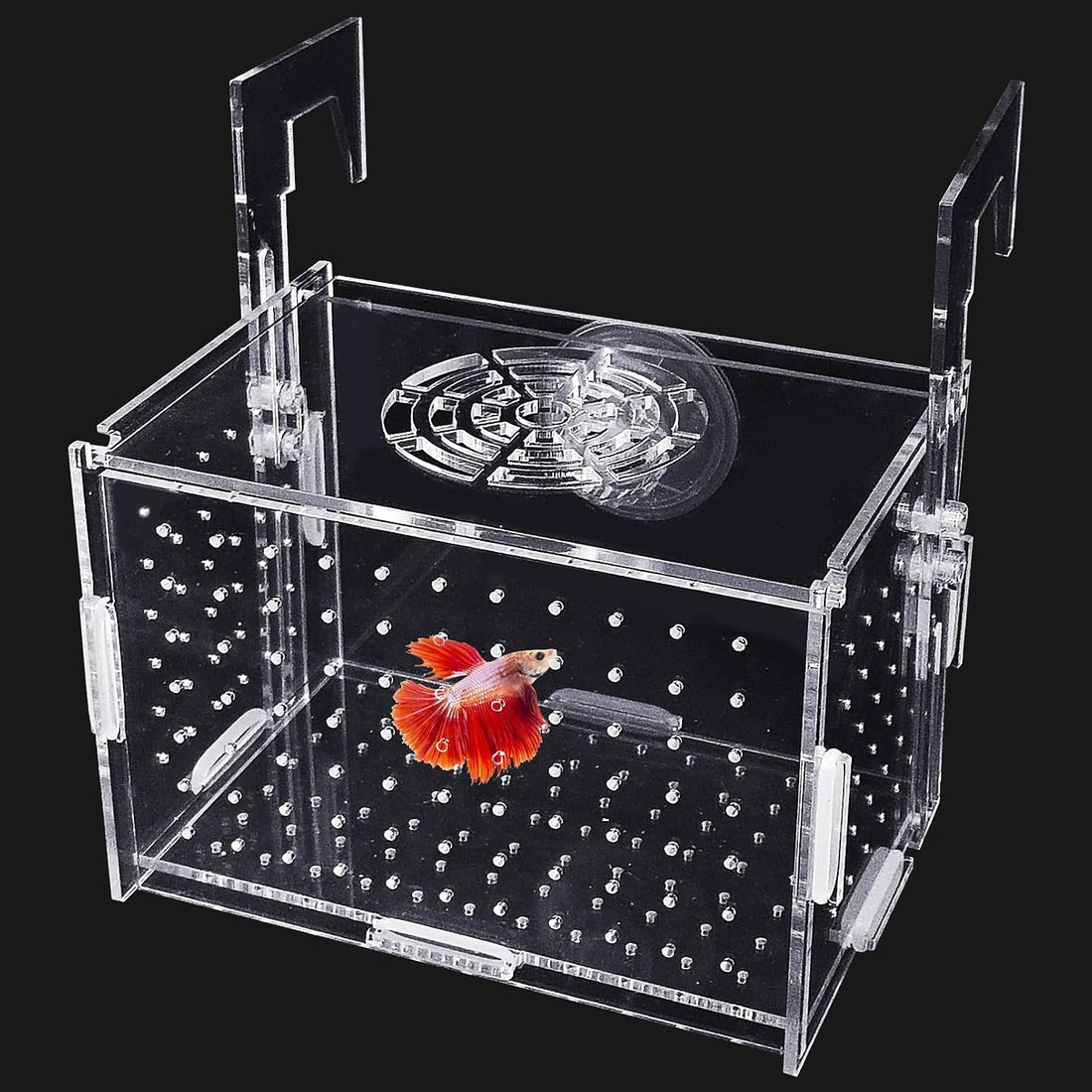 Hamiledyi Acrylic Breeding Isolation Box