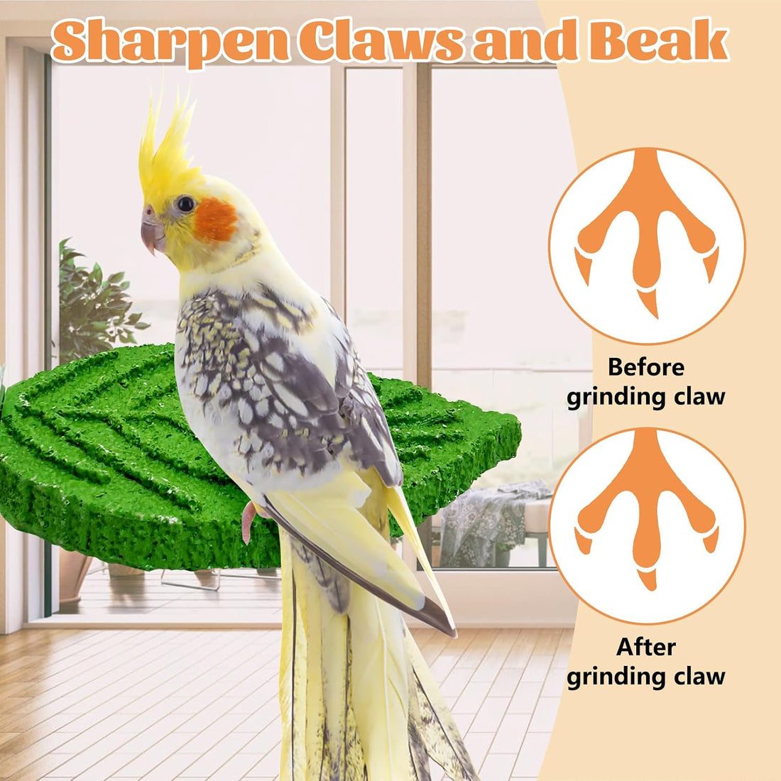 3 Pcs Parrot Perch Resin Bird Beak Grinding Stone
