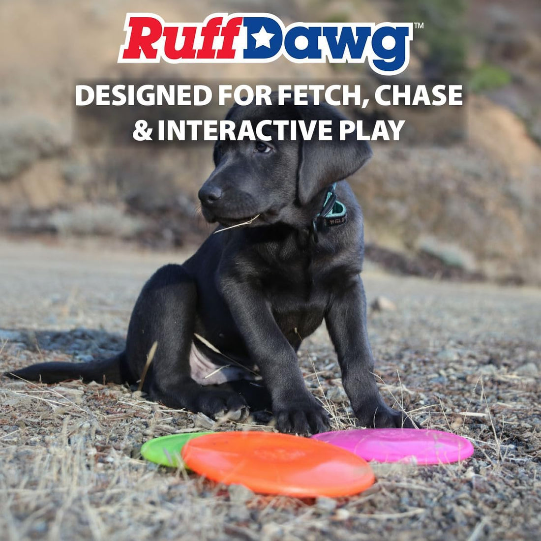 Ruff Dawg Ruff-Flex K9 Flyer JR Flying Disc Dog Toy, SM