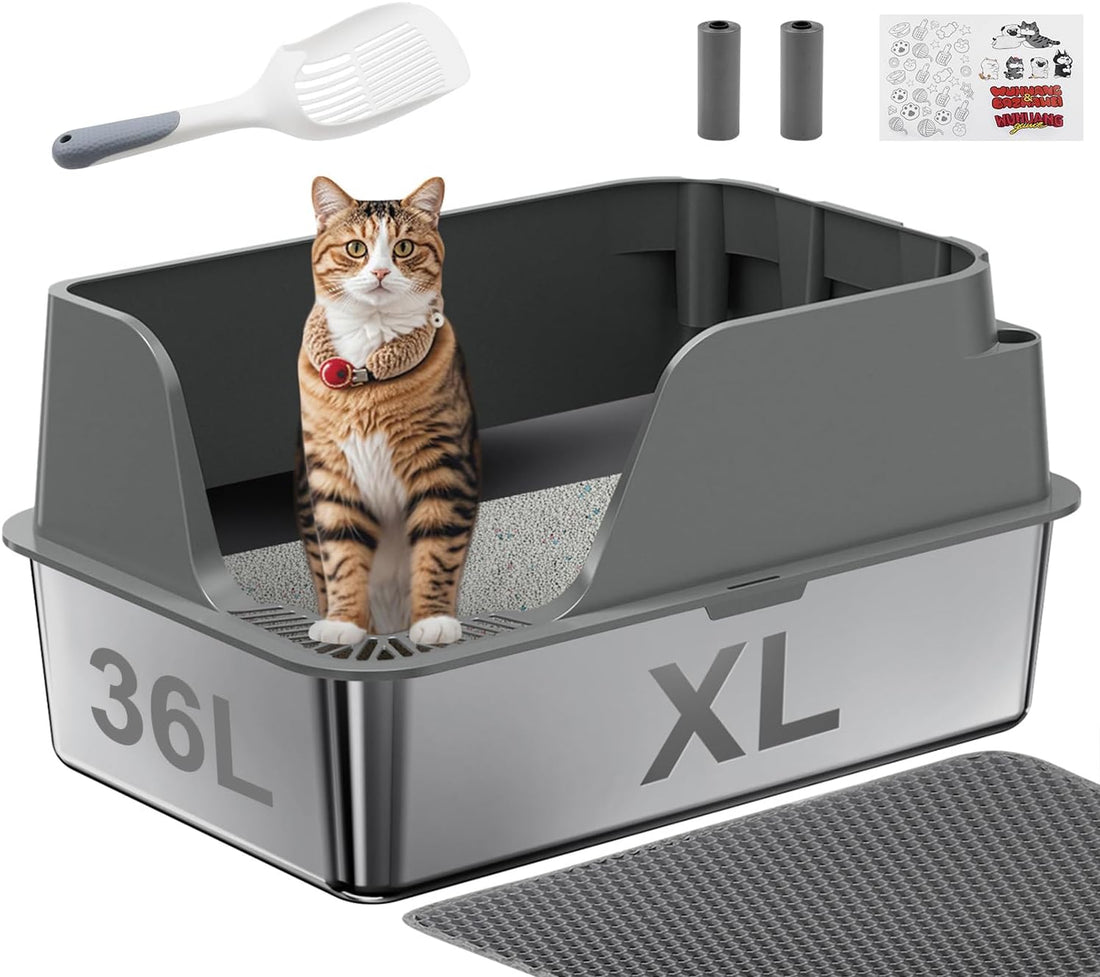Open-Top Automatic Litter Box, Odor Control, Ready to Use
