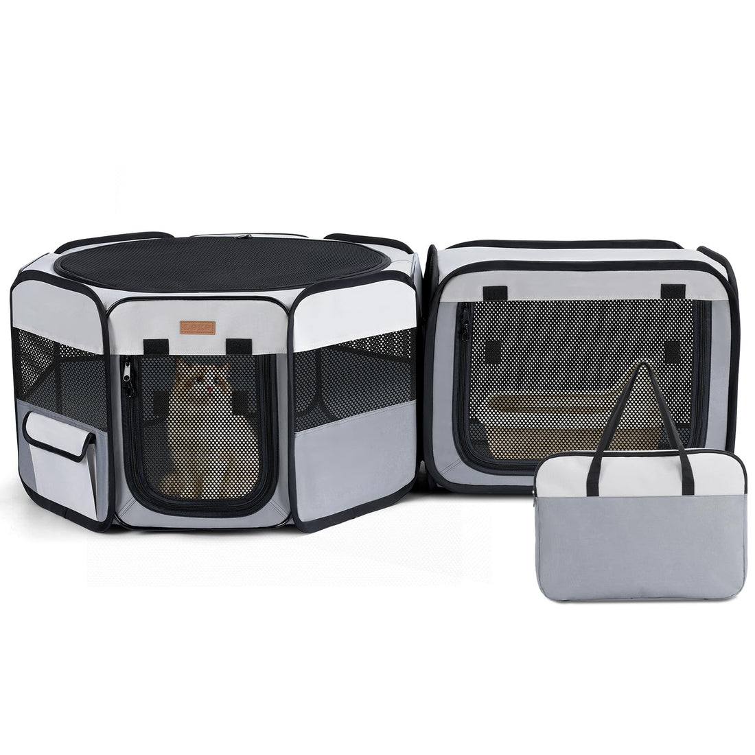 Want to Give Your Kittens & Puppies a Safe