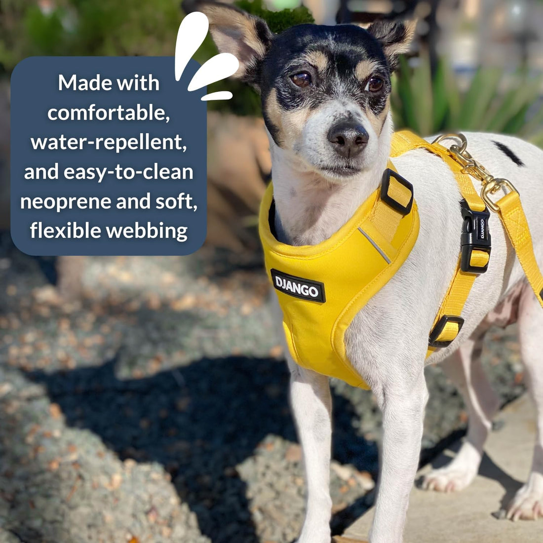 DJANGO Adventure Dog Harness