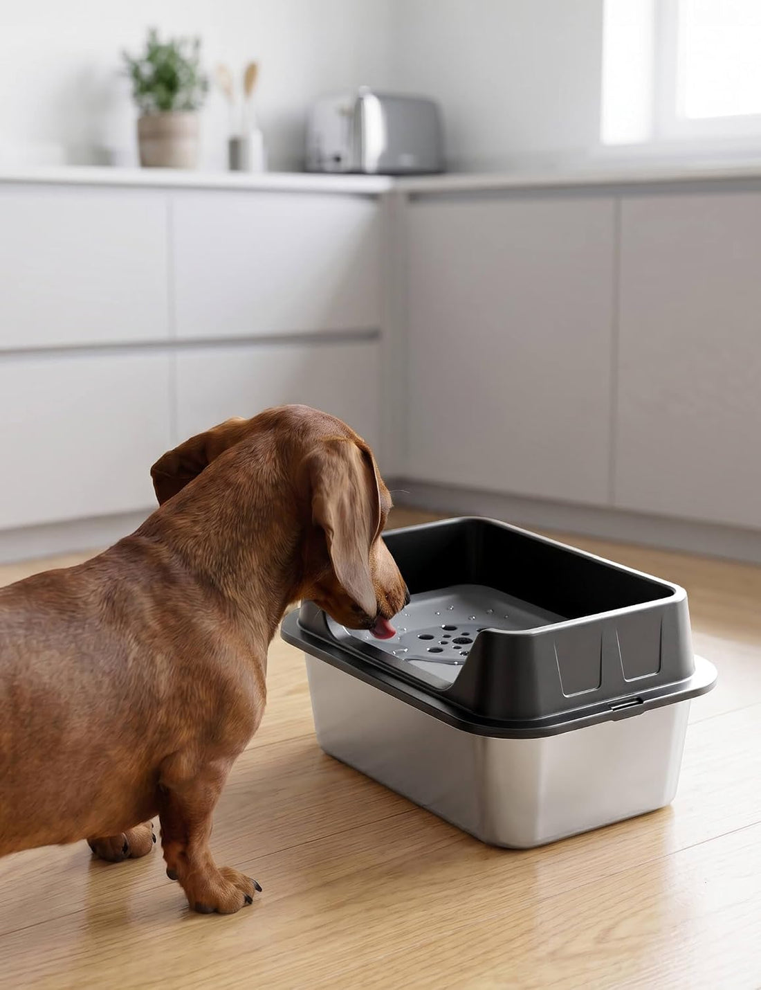11L No Spill Dog Water Bowl with Splash Guard & Slow Drink Disk