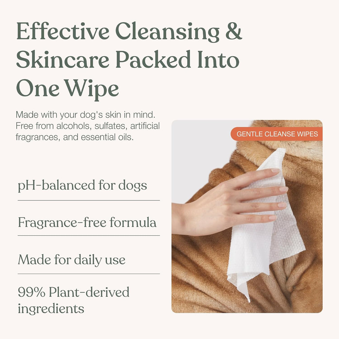 Dandylion Dog Wipes, Gentle Cleanse, Micellar Water Formula, 90 Count