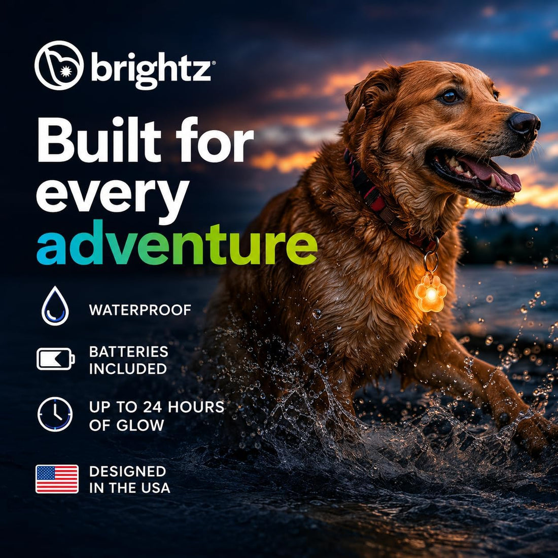 Brightz PupBrightz LED Dog Collar Charms, Paw & Bone, 2-Pack