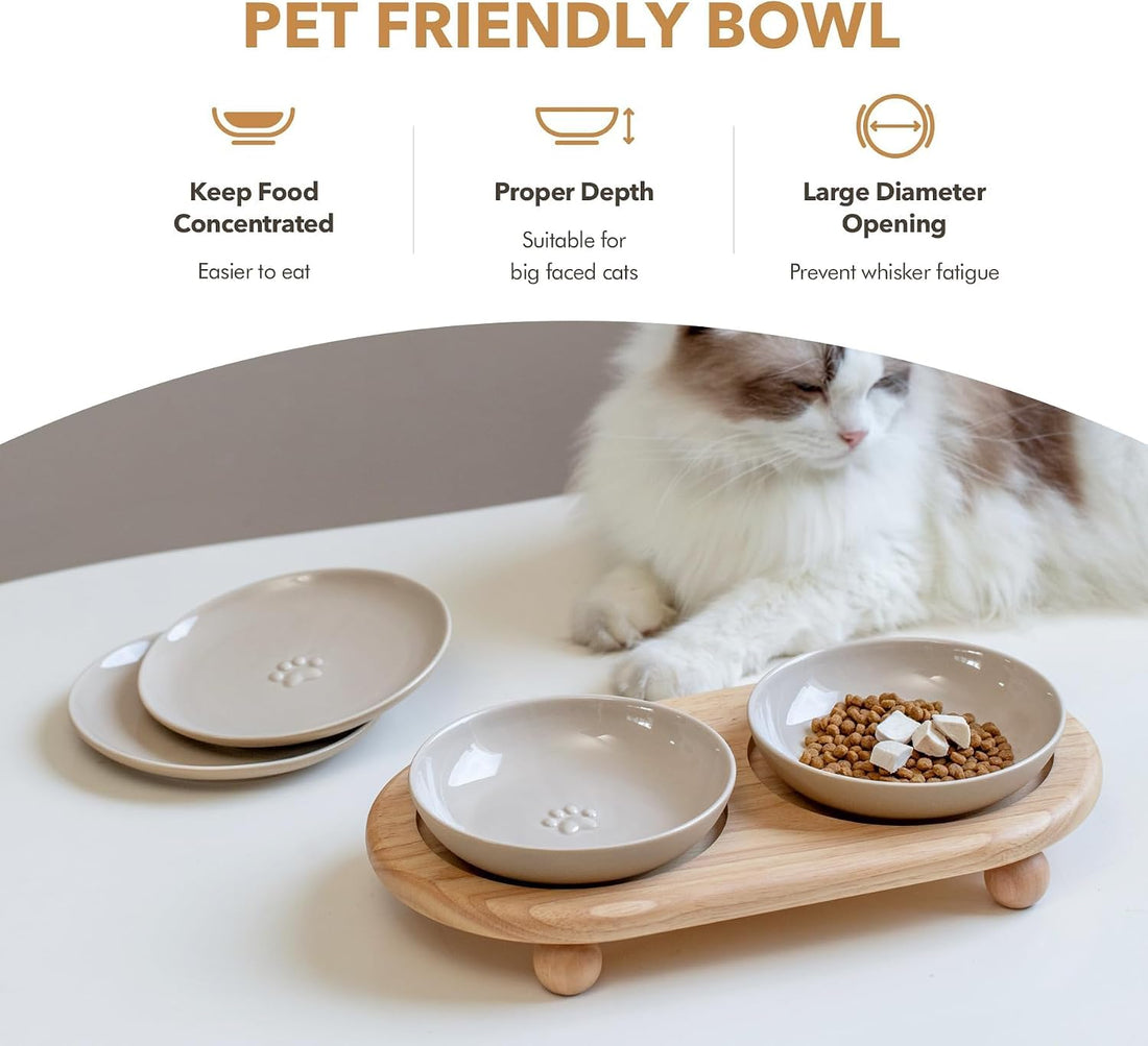 Havniva Cat Bowls Elevated 5.6” Ceramic Cat Bowl with Stand Whisker