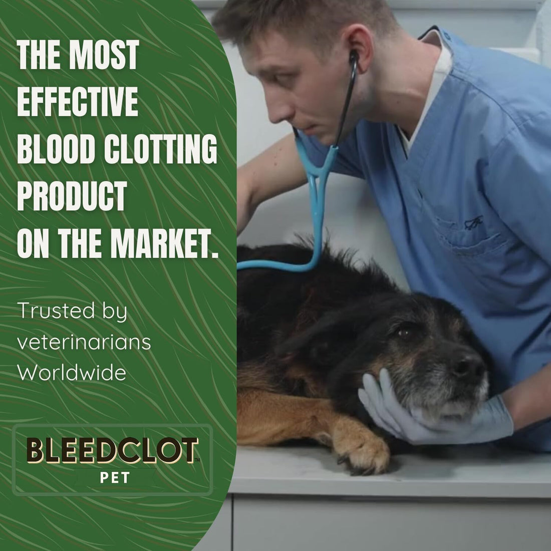 BleedClot Pet First Aid Blood Clotting Powder