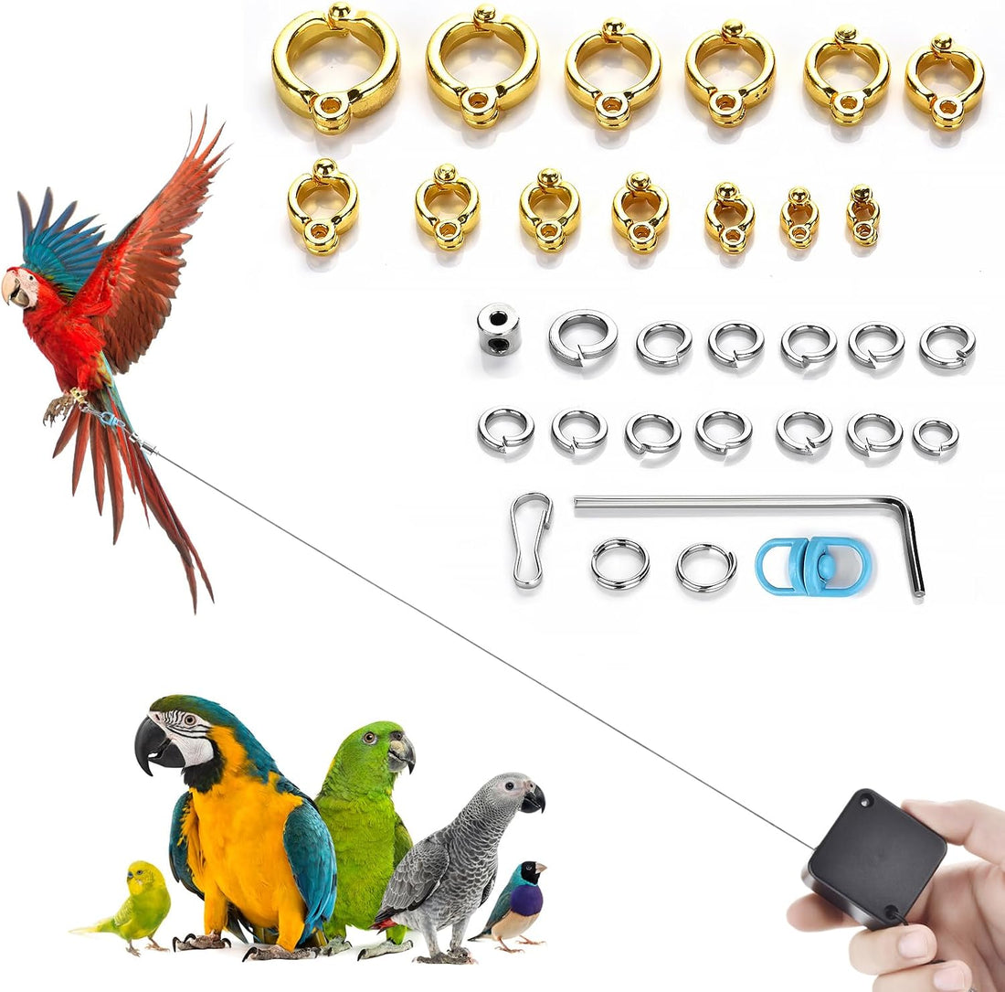 Bird Leash,6.6 Ft, with 13 Different Size Foot Ring ( Gold Color)