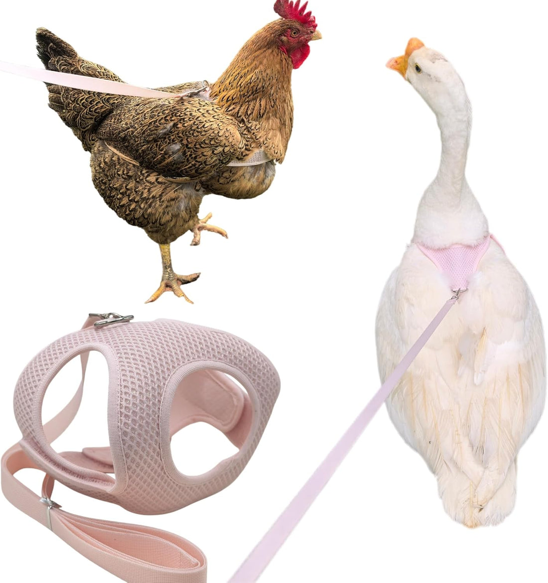 Adjustable Chicken Harness and Leash Set