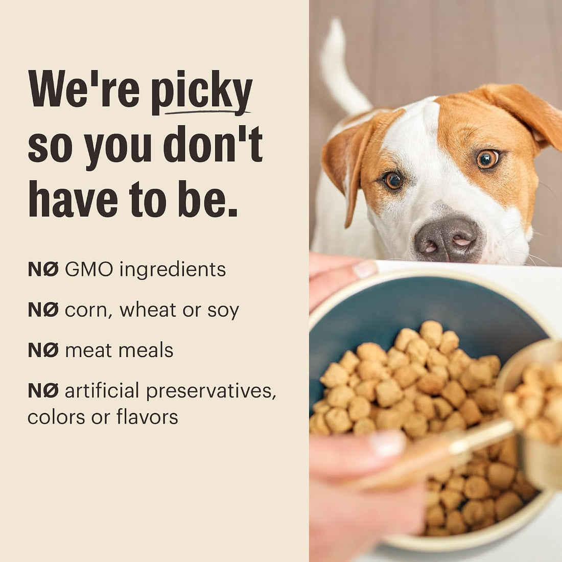 The Honest Kitchen Grain Free Beef & Superfoods Whole Food Clusters