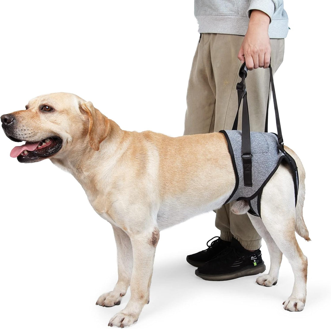 Dotoner Dog Sling for Large Dogs Hind Leg Support to Help